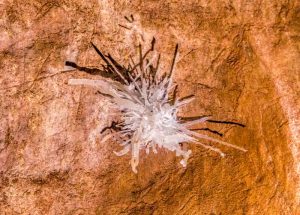 Excursiones a las cuevas de Jenolan de 340 millones de años