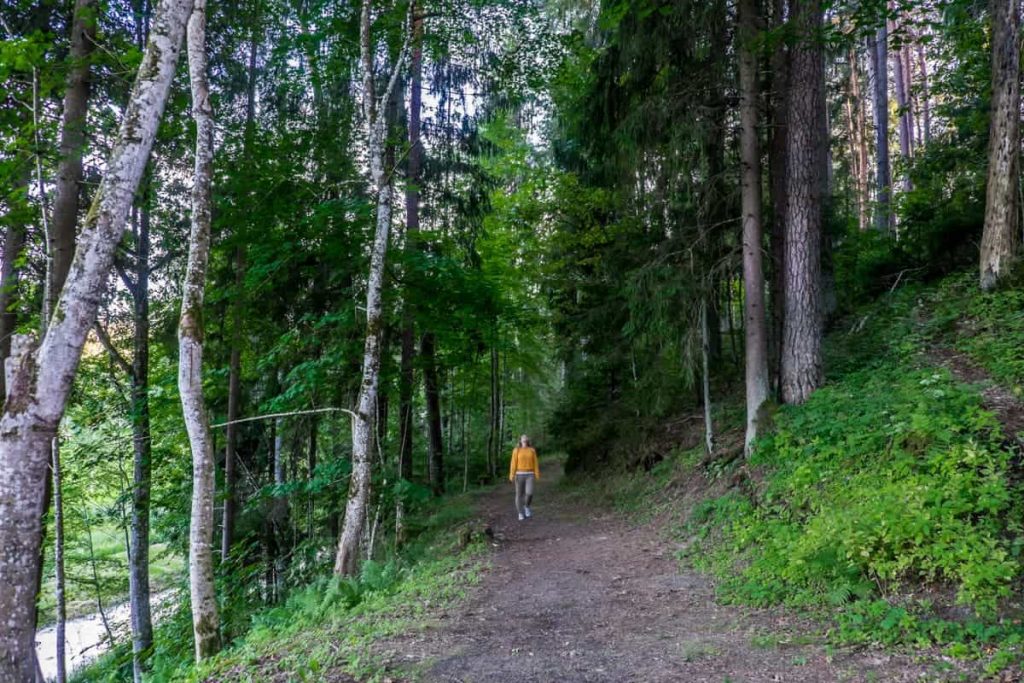 Mujer en parte de los senderos naturales de Ligatne Parque Nacional de Gauja Letonia
