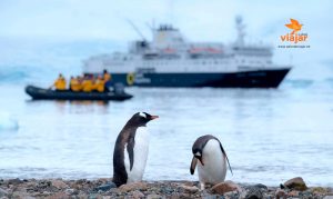 Crucero por la Antártida: una experiencia de viaje verdaderamente notable