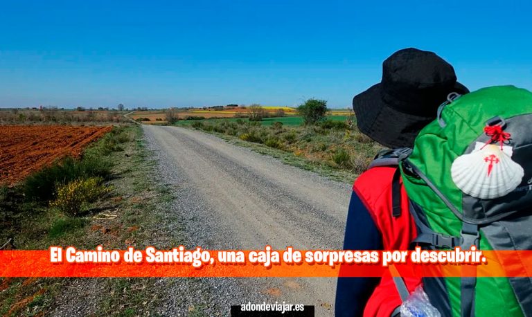 El Camino de Santiago, una caja de sorpresas por descubrir