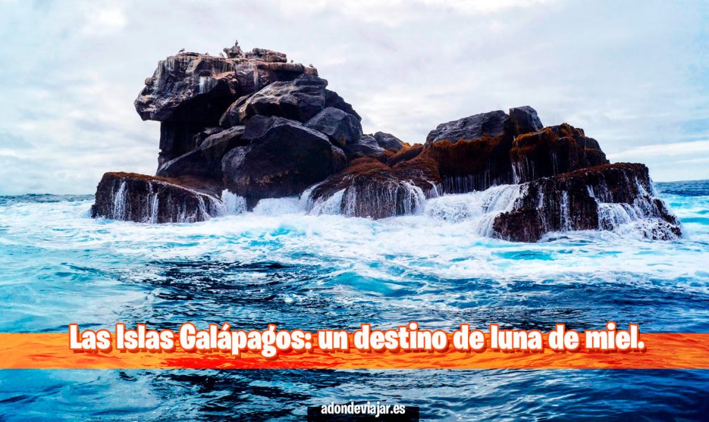 Las Islas Galápagos: un destino de luna de miel