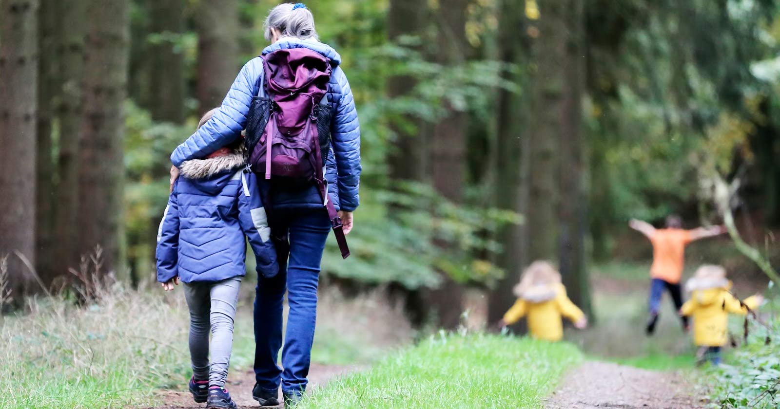Sierra de Madrid, maravilloso entorno rural