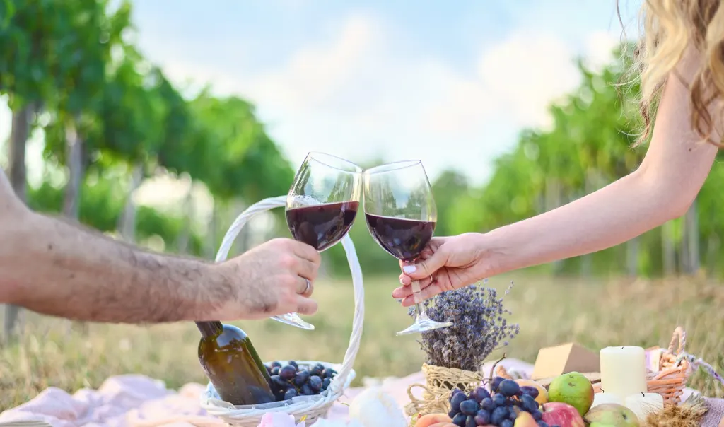La Rioja - amantes de la naturaleza y del buen vino